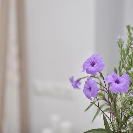 Blue Paradise 4* Naxos City