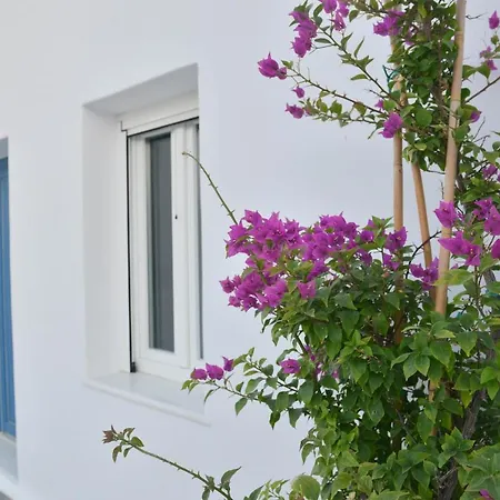 Blue Paradise *